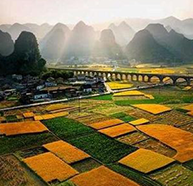休閑農(nóng)業(yè)發(fā)展規(guī)劃